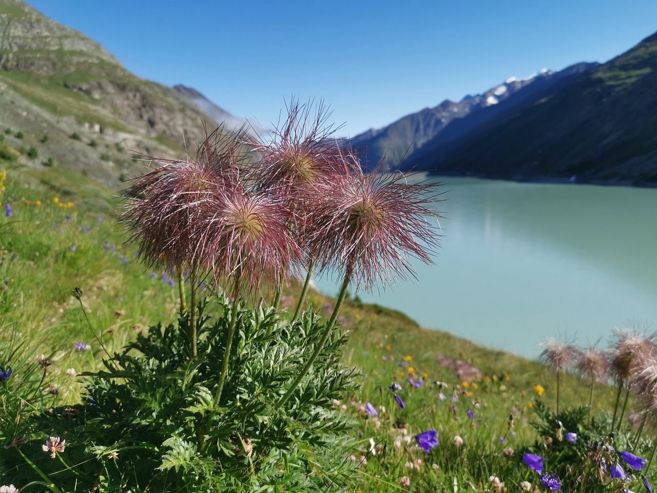 discover the power of software as a service (saas) solutions, offering flexible and scalable options for businesses of all sizes. streamline your operations, reduce costs, and enhance collaboration with easy-to-use, cloud-based applications.